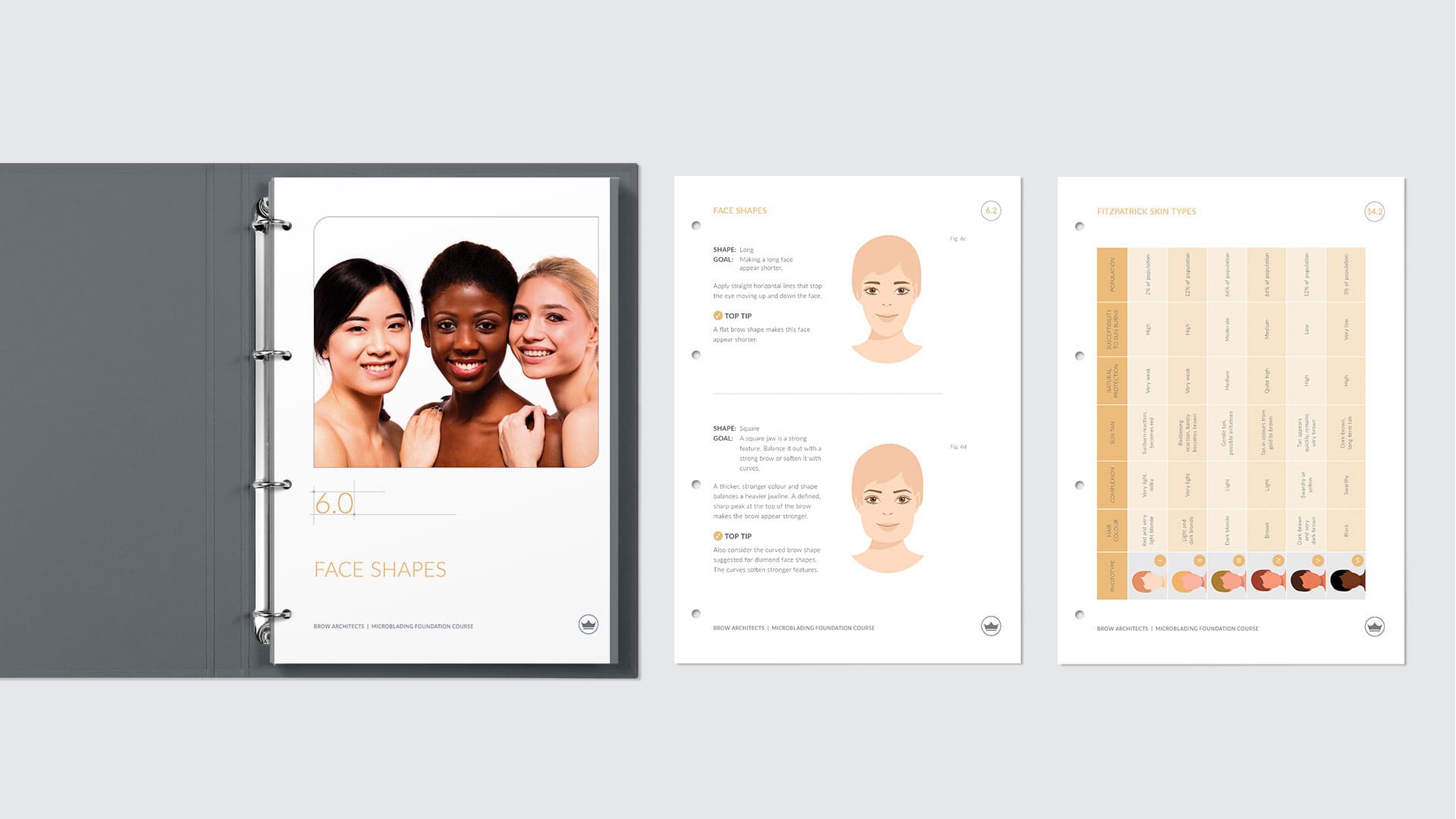 Brow Architects Training Manual