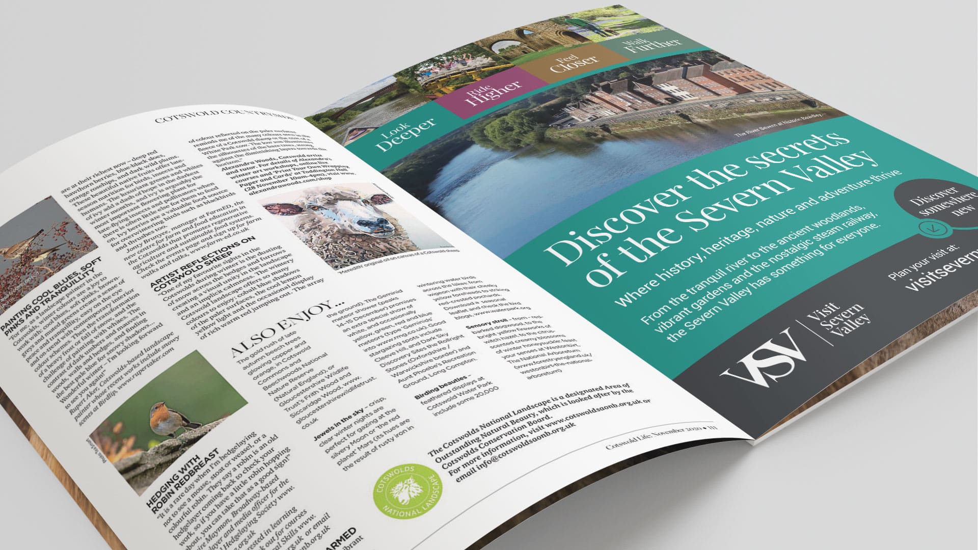 VSV Ad design