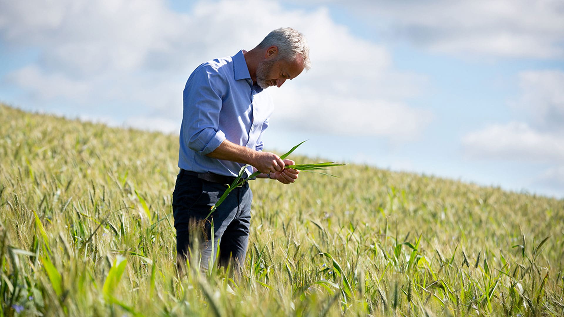 photography used as part of the armitage agri brand – jonty armitage